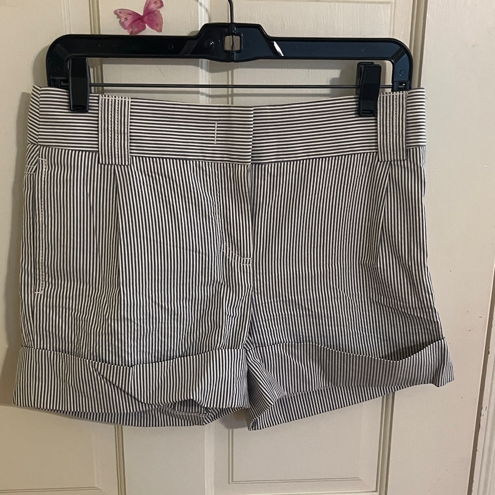 J Crew Blue Striped Women's Shorts